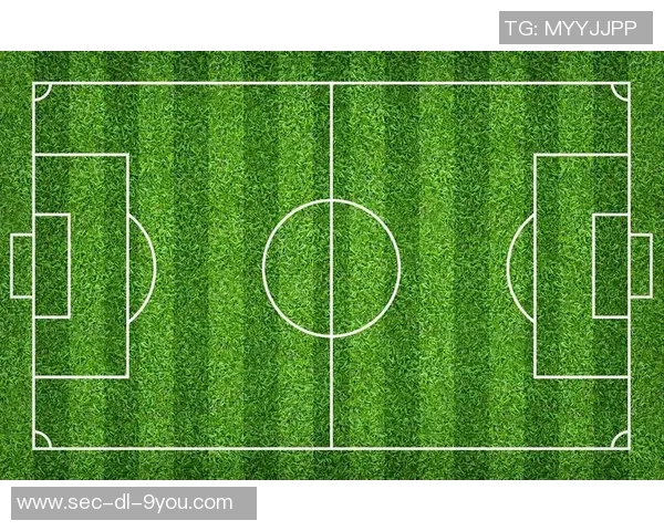 足球球场线的宽度对比赛规则和运动员表现的影响分析